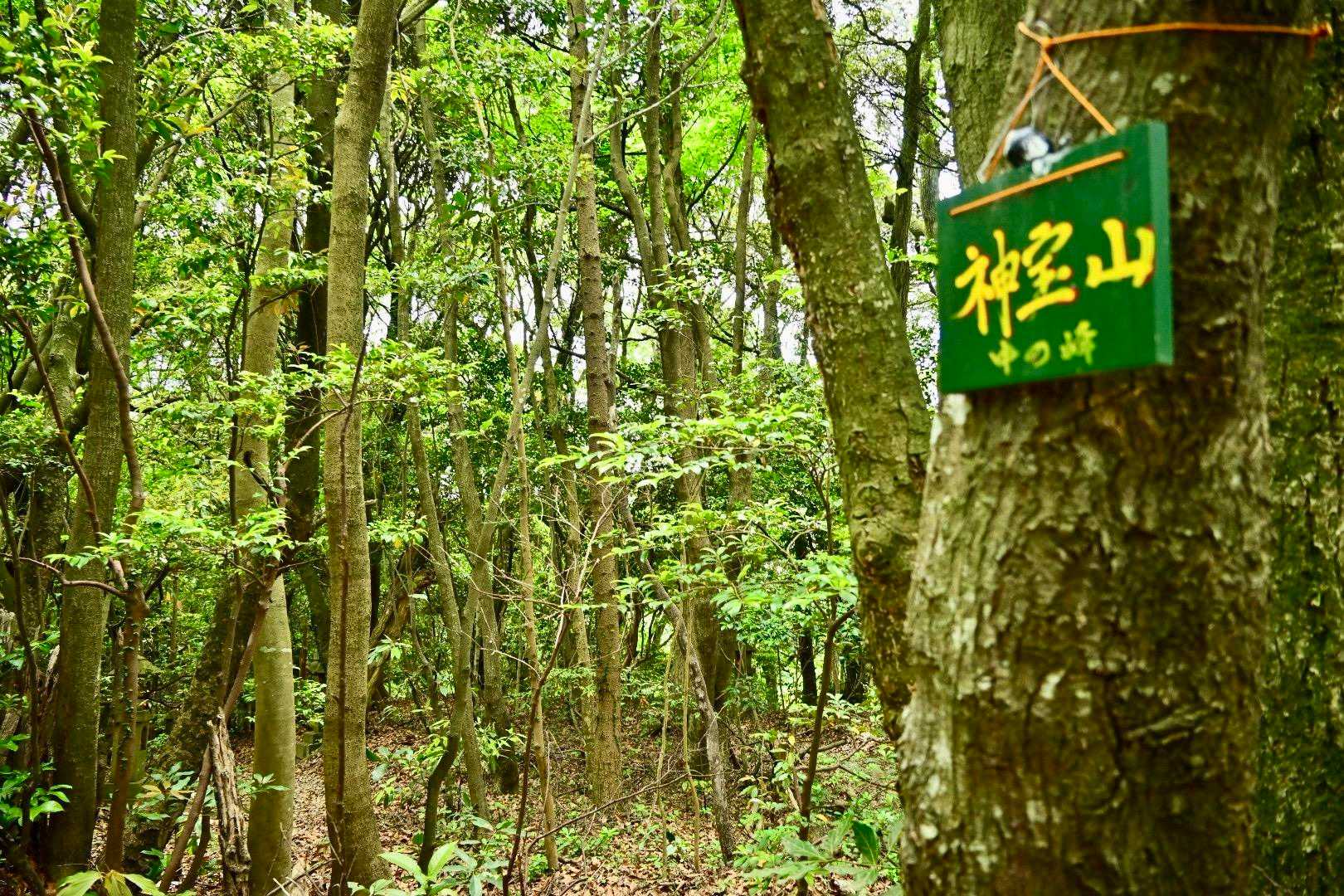 中の峰
神宝山は昔の呼び名だそうです
素敵な名前ですね🩷