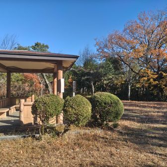あっという間に次の山⛰️

眺めの無い山頂…
山名標識も無い😭