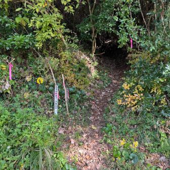 どんな景色が待ってるかな♡ワクワク☺️