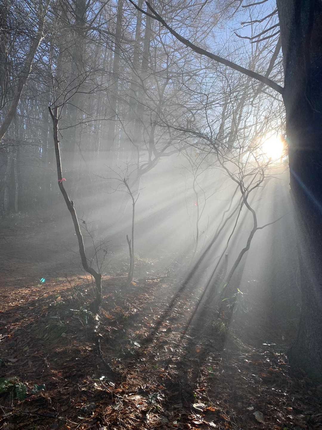 奴田山 周回コースの写真