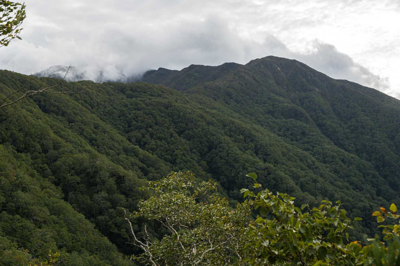 あらま💦山頂方向は厚い雲に覆われてる…🥺