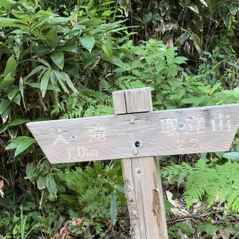 登山口に戻りました