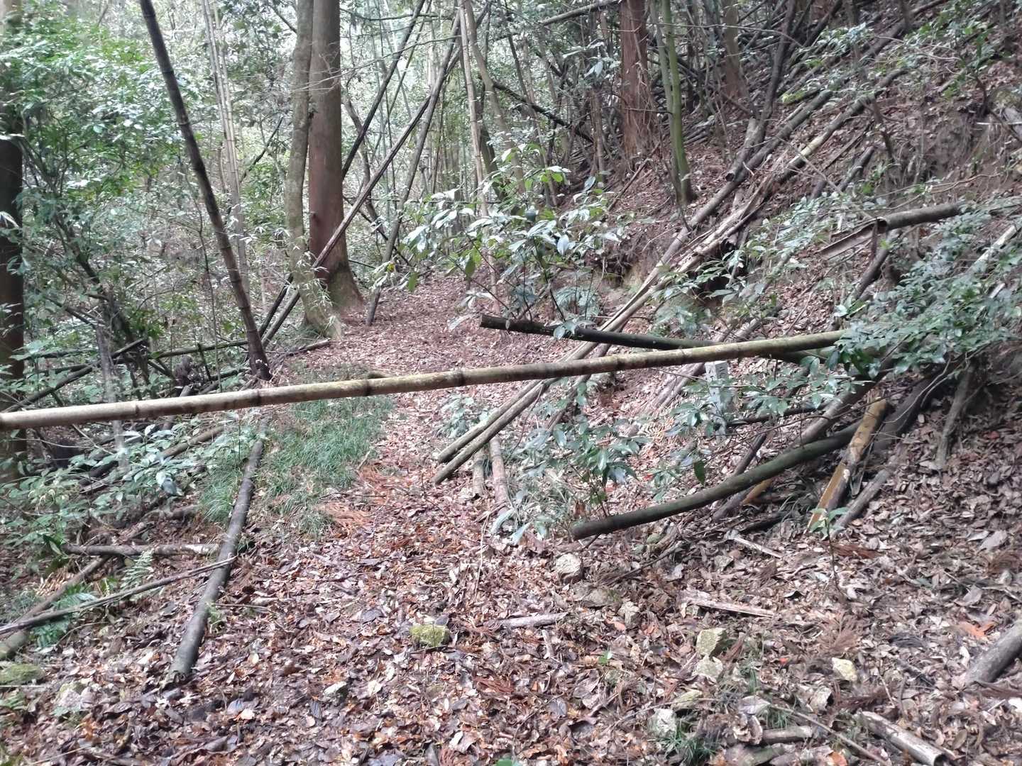 道具持ってきてない。。。