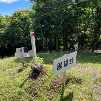 展望台に、初めて来ました。