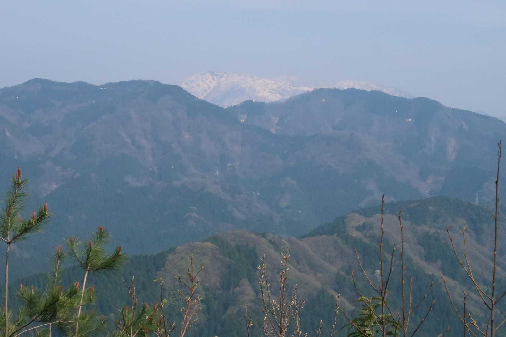 南三里山-行司岳 往復コースの写真