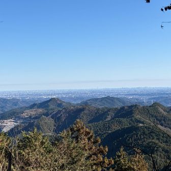 うっすらスカイツリーらしきが見えた