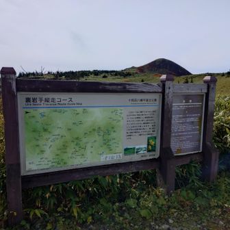 縦走はしませんよ