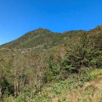 駒ヶ岳