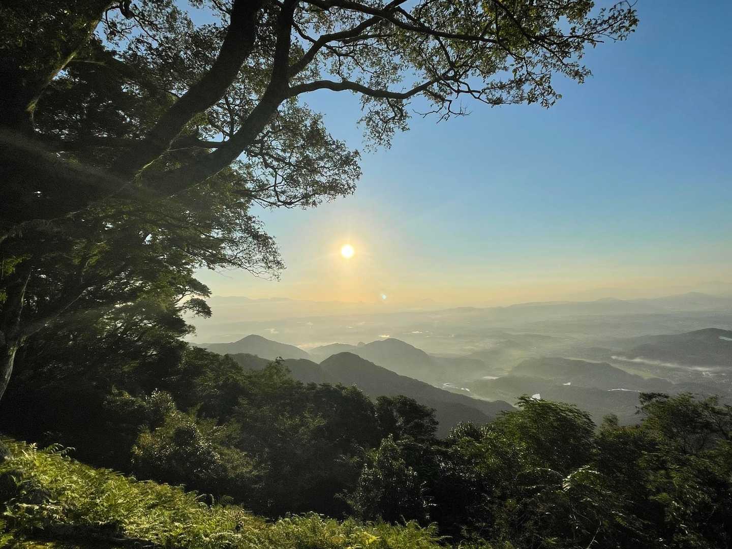 太陽さん🌞おはよう☺️
日の出は5:58頃、牛斬山の辺りからだったよう。