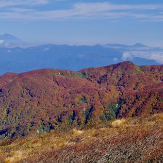 東焼石岳から北側。霞が濃いけど岩手山も見える。手前の紅葉真っ盛りなのは牛形山かな？