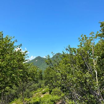 北山から望む風不死岳