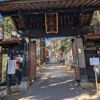 鉄壁のガードですな