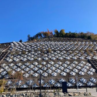 ダム側から見た降りて来た道