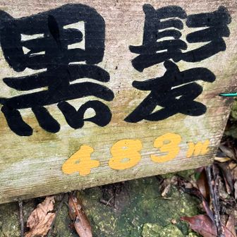 5年目は74黒髪⛰️でした👏初めて80を下回った気がします🤔他の山にもちょくちょく登ったからかな💪