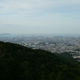 中央展望台から
