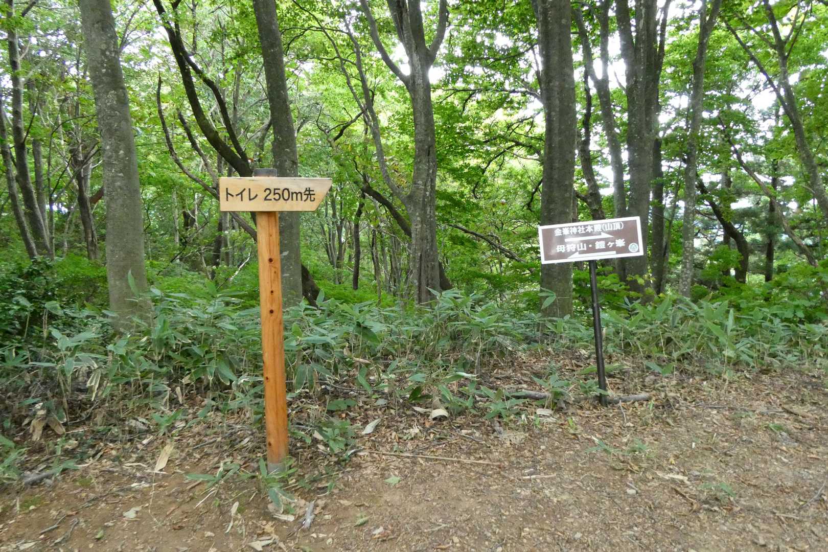 鎧ケ岳へ向かいます