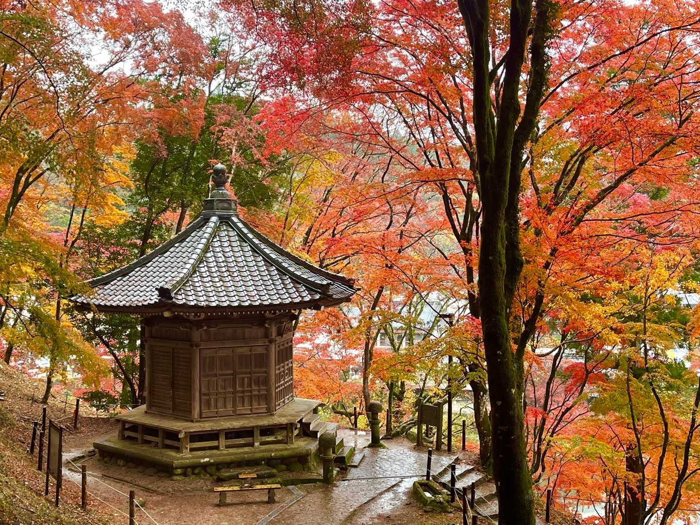 太子堂を通過し…下山しました😊