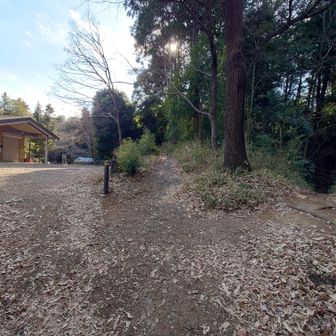 みはらし広場の分岐へ戻って来ました。先程は右からやって来ましたが、今度は真っすぐ進みます。