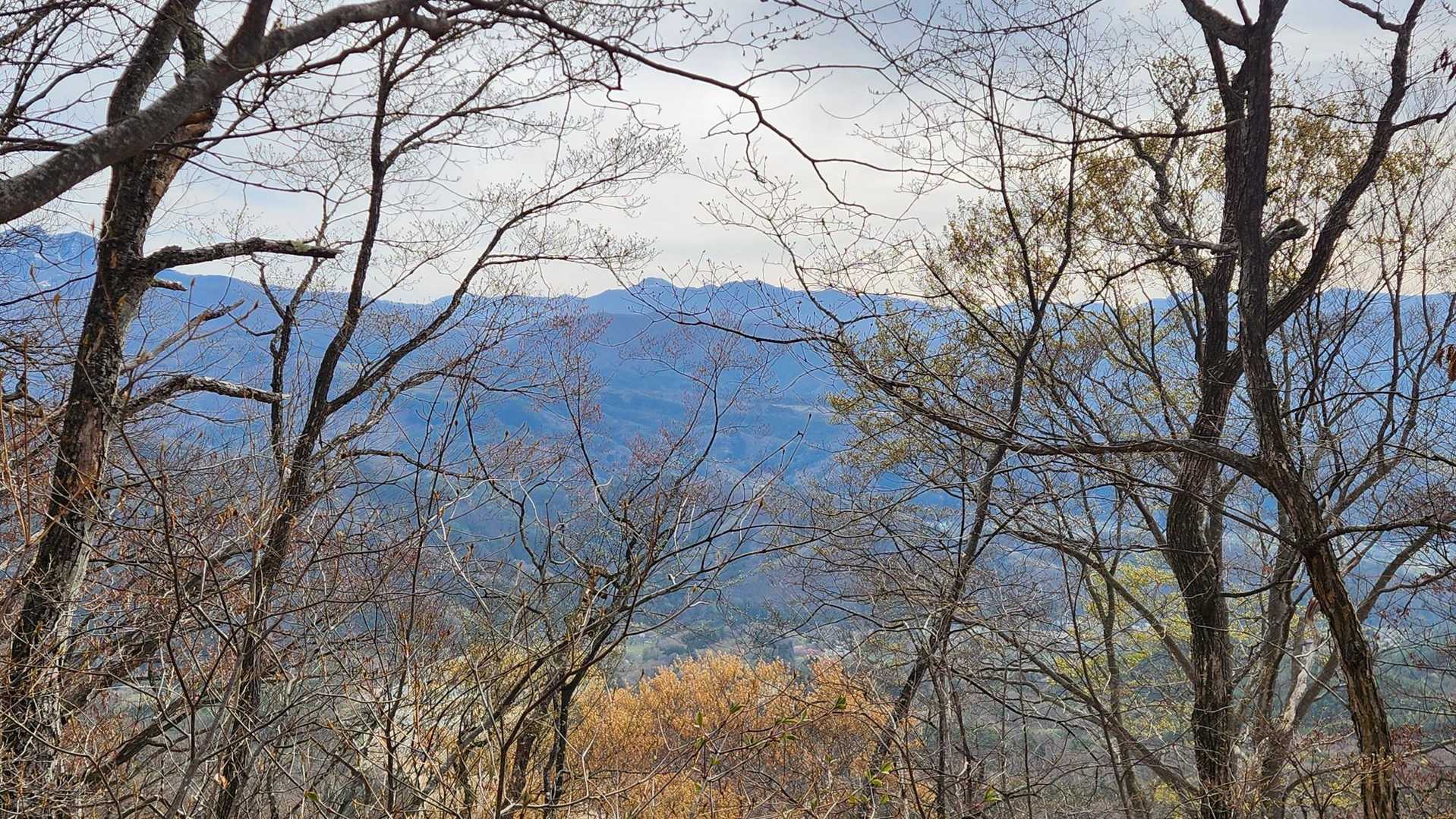 登り坂の途中で、樹間越しに日光白根山が見えました🏔️