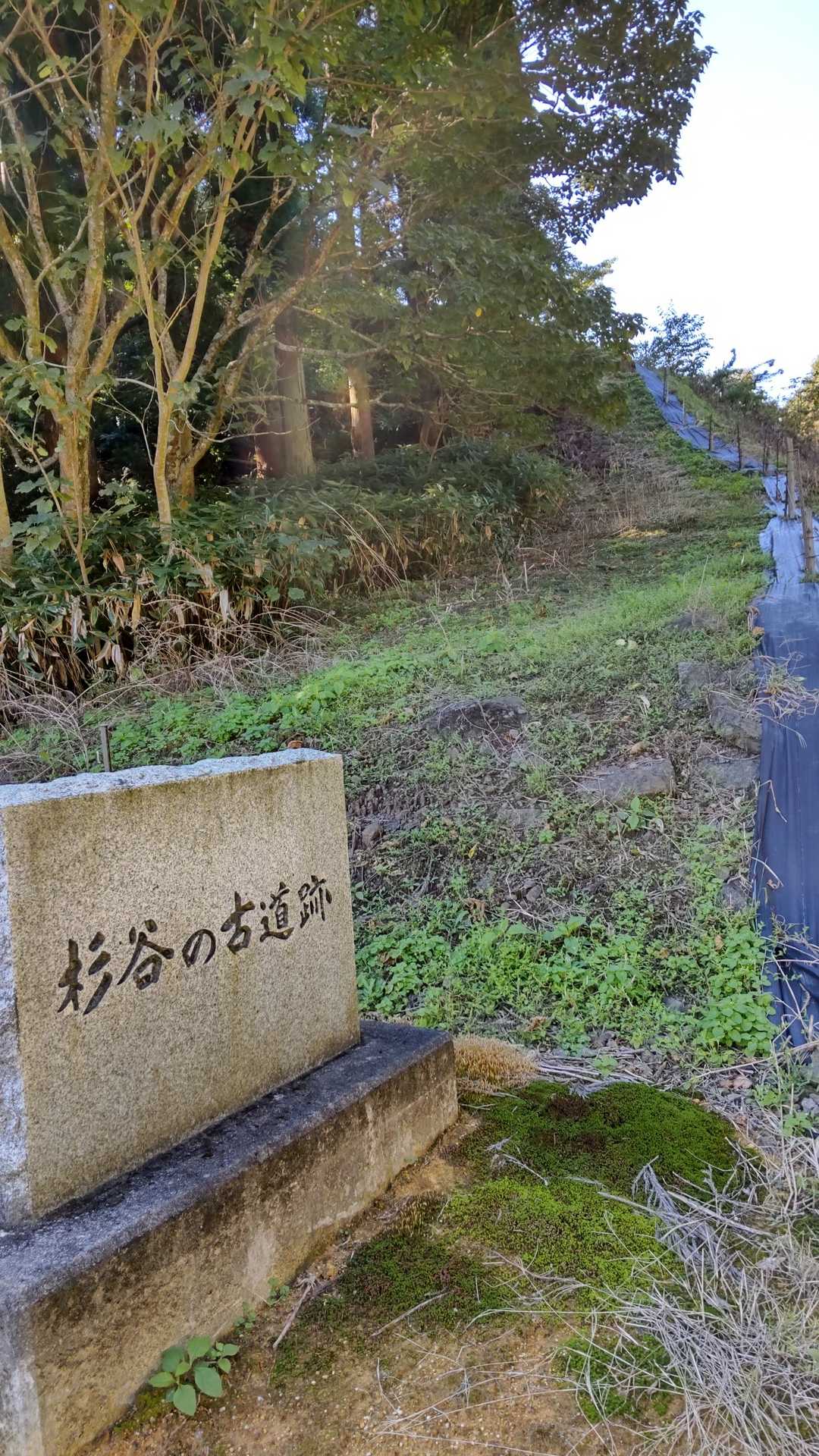 石碑(杉谷の古道)