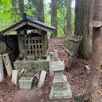 転軸山登頂