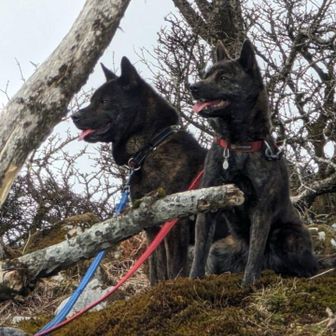 valentino1sukeuccioユーザー