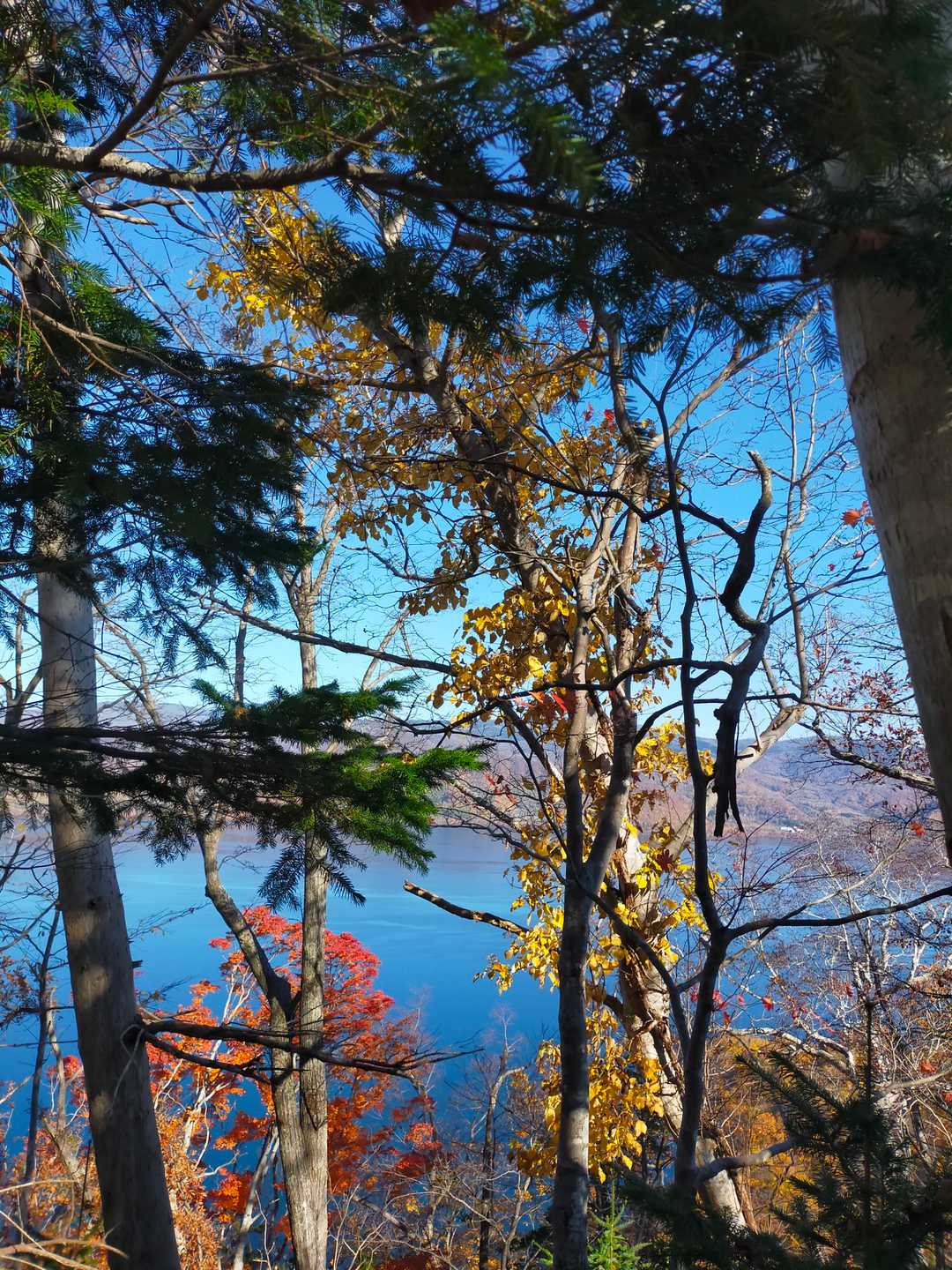 北山山頂の眺望はこんな感じ👀💕見晴らしは良くないかも？