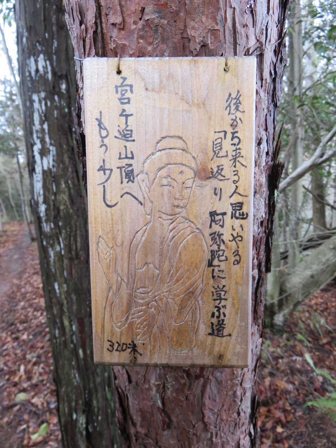 宮ヶ迫山-中野山 往復コースの写真