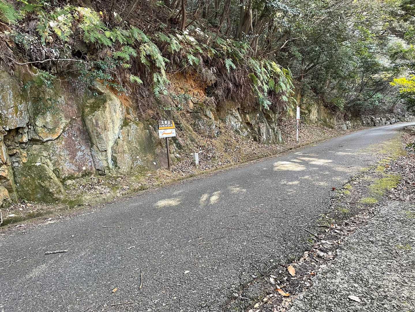 舗装に合流。ここさっき見たわ