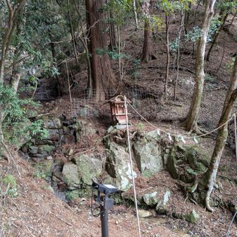 神社の横から山に。この小さな谷が水源　名刹、神社が成立するには必ず水源が要る　その水源をつかさどる神