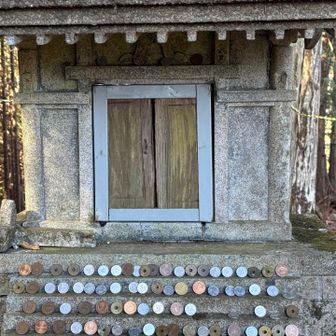 硬貨が整列してる！