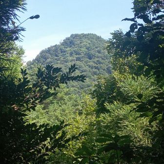 展望台からの尖山。