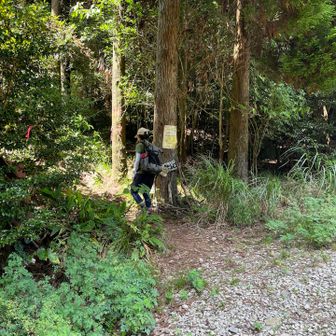 林道を歩き登山道に入る