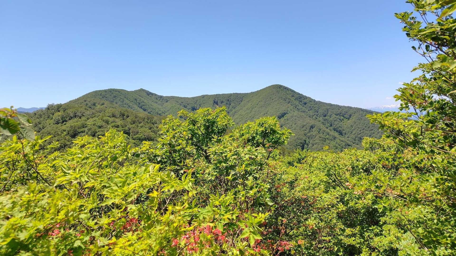 お、だいぶ近づいてきたこれはワクワクだね！（なんてお気楽気分だったのはここまで…）