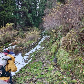 登山口の道はかなり荒れてて、
歩きにくい
