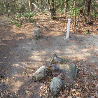 展望はありません