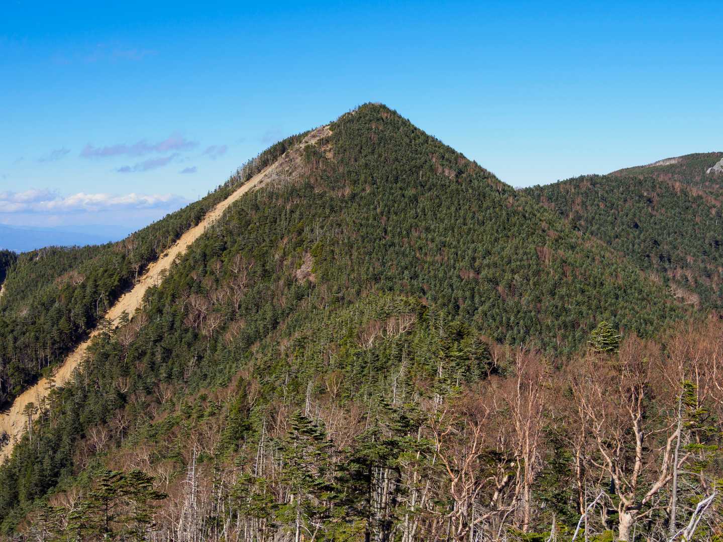 甲武信ヶ岳の写真