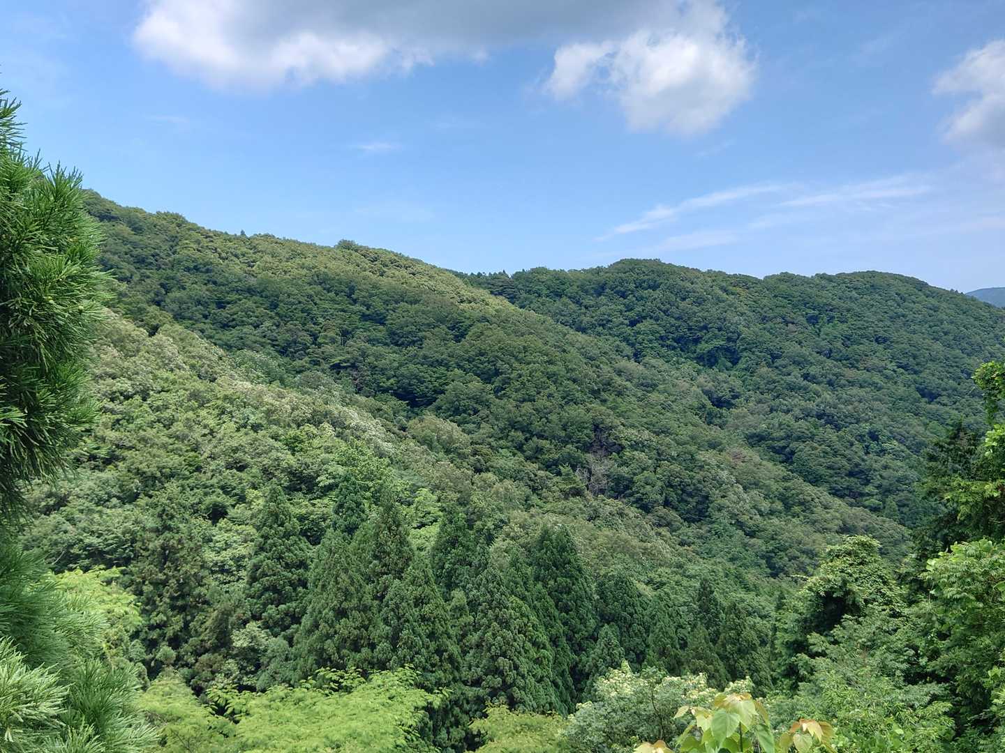槙山 往復コースの写真
