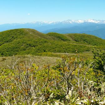 草原の向こうは北ア
