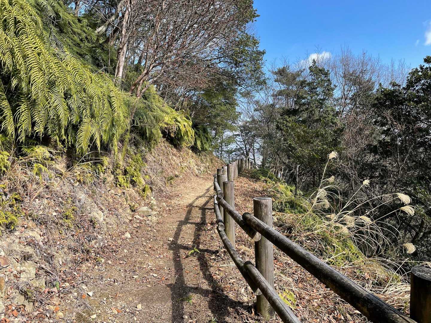 周回出来そうなので元のコースまで迷走しながら歩きます
実はもう一度間違えて、周回出来ていない🤣

気になるのはお天気…晴れたり曇ったり降ったり時雨たり🤣
