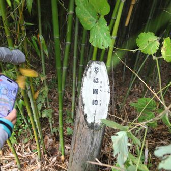 祇園山
YAMAP1797座目
竹藪なので撤退