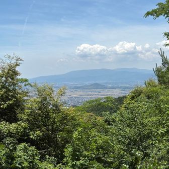 手前に見える小さな山はグレーピークかな〜🩶
もう少し山頂にいたかったけど、スズメバチ🐝が現れたので、そっとその場を離れました。😨