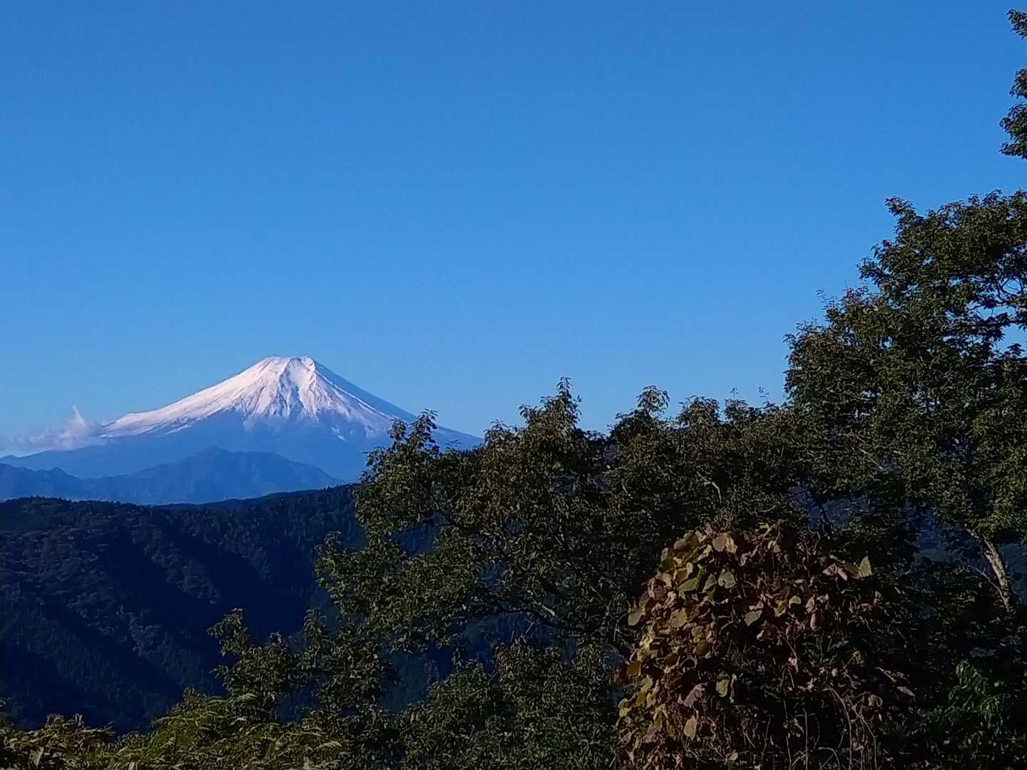 これこれ！
前回ガスって見えなかった富士山も今日は綺麗に♪やた！
今日はいいことありそな予感♪
松生山より