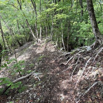 だいぶのんびりしてしまいましたが、下山開始