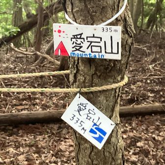 山の名前って誰がどうやって決めているのでしょうか、愛宕山といえば京都のだと思うのですが。