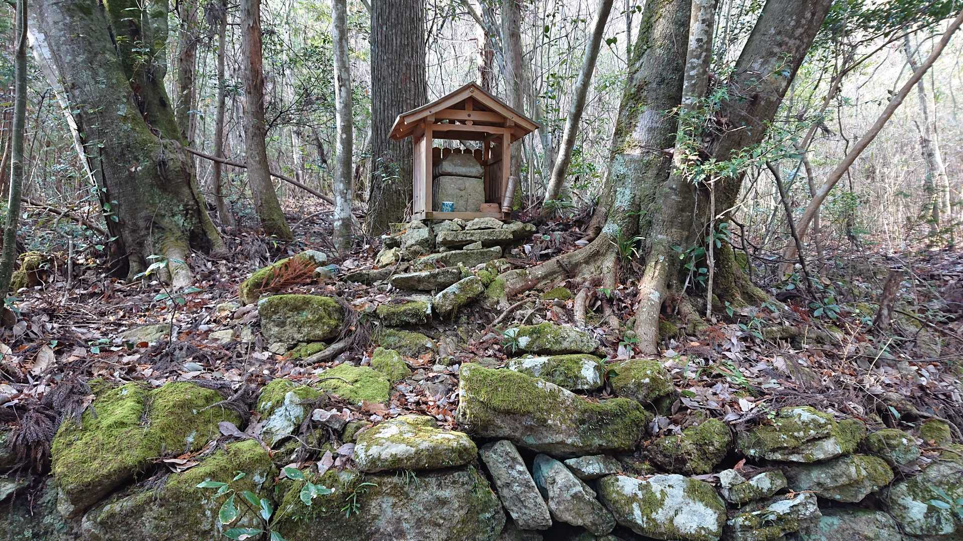 カナディアン大磯登山口-大船山-波豆川バス停 周回コースの写真