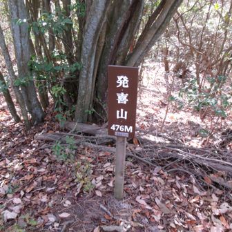 明神山５０２ｍ