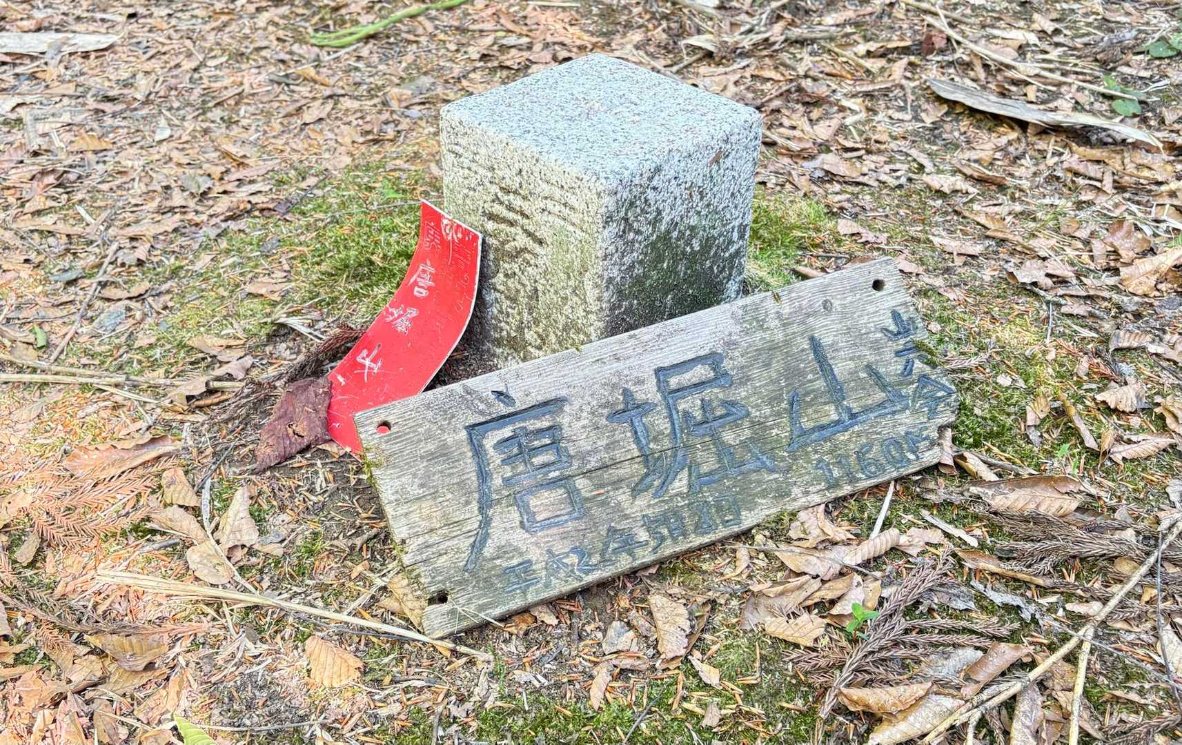 山頂眺望なし