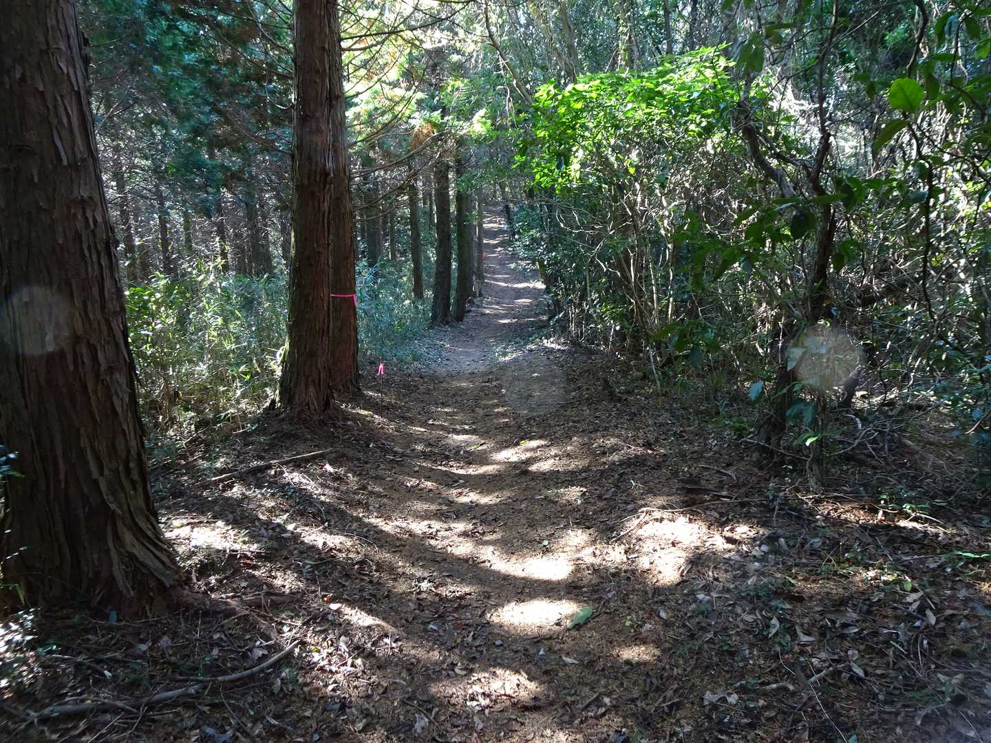 下り切ると少しだけ平坦な区間があり少し息を整える事が出来ます