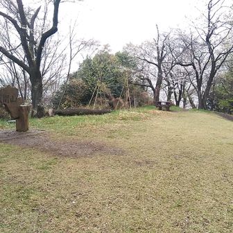 浅間山　誰とも会わず寂しくなってきた😿